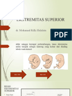 Tugas Skeletal Ekst Sup