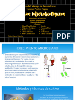 Cultivos Microbiologicos