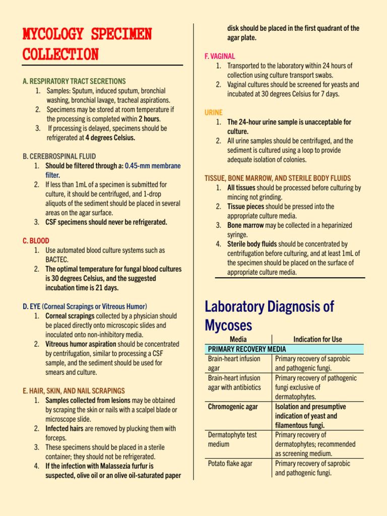 Mycology Specimen Collection PDF Fungus Yeast
