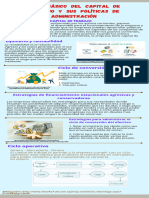 Infografía Ciclo Basico Del Capital de Trabjo Actividad 5