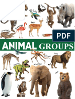 Animals Groups Picture Dictionaries - 136964