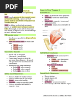 Muscular System