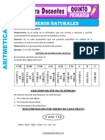 Fichas de Numeros Naturales para Quinto de Primaria