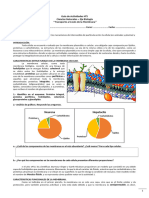 8 Biología Guía 1 Membrana y Transporte Ciencias Naturales