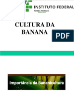 Cultura Da Banana Parte 1