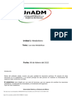 Unidad 1: Metabolismo Tema:: Las Rutas Metabólicas