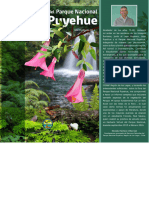 Flora PN Puyehue VF Septiembre 2020