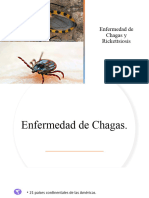 Enfermedad de Chagas y Rickettsiosis