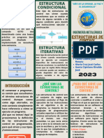 Triptico de Estructura de Control (BOTAME TU GAAAA PAYASO)