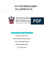 Lesiones Tendinosas y Lesiones de - Ligamentos