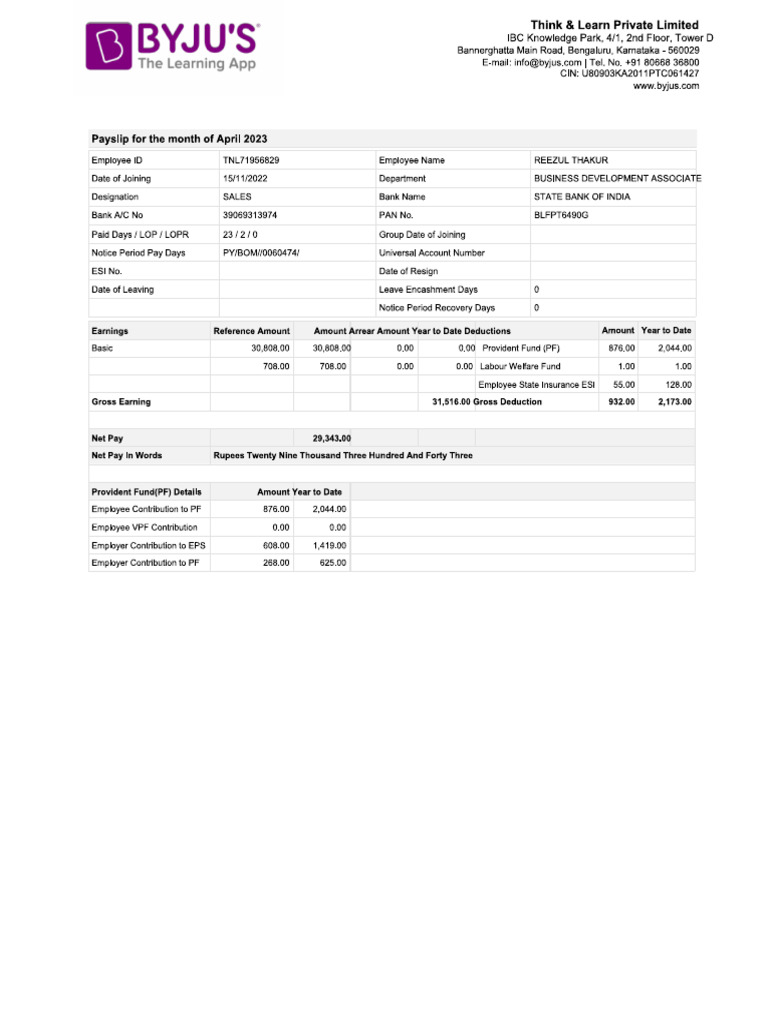 Pay Slip | PDF