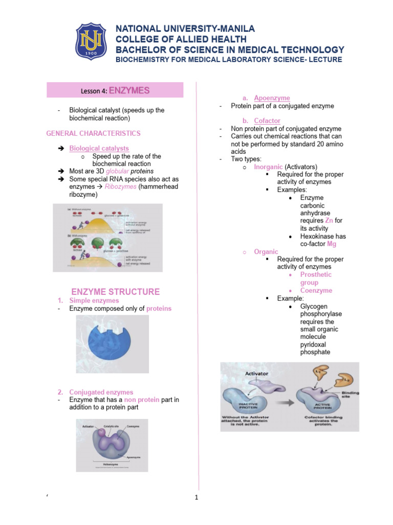 Lesson 4 ENZYMES PDF Enzyme Enzyme Inhibitor