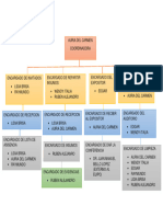 Organigrama Confe