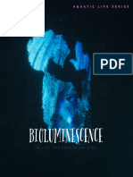 Bioluminescence Booklet