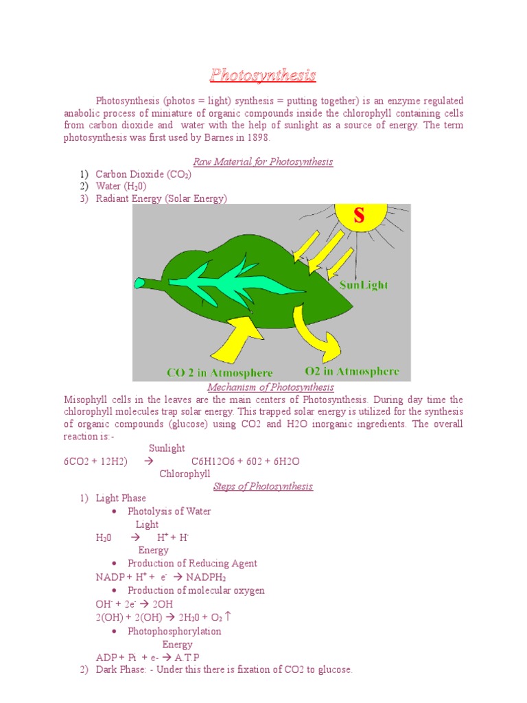 Photosynthesis 2 | PDF | Photosynthesis | Carbon Dioxide