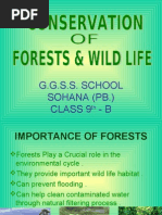 Download Conservation of Forests and Wild Life by api-3731257 SN6736931 doc pdf