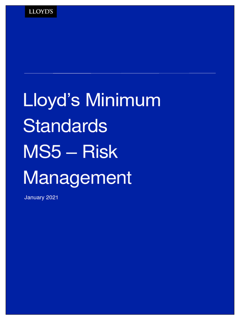 MS5 Risk Management | PDF