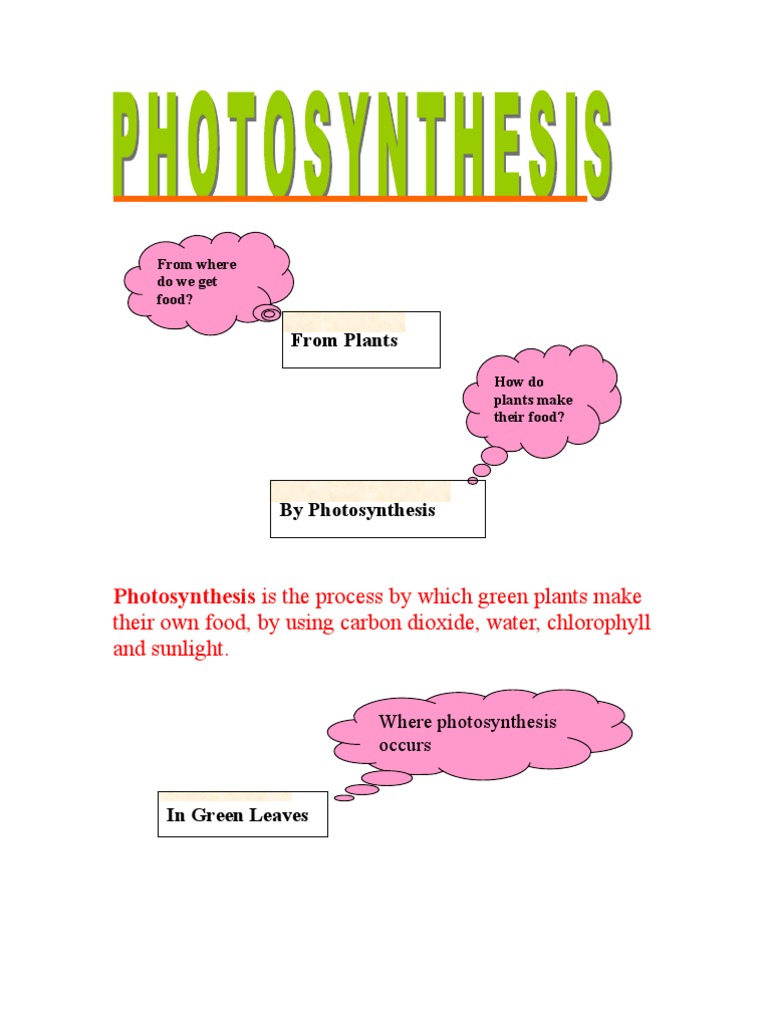 Photosynthesisn | PDF
