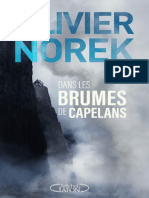 Dans Les Brumes de Capelans (Olivier Norek)