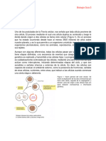 Guía 3 Ciclo Celular Mitosis Meiosis