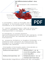 Sistema Cardiovascular Ou Circulatório