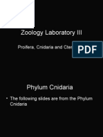 Zoology Laboratory III: Proifera, Cnidaria and Ctenphora