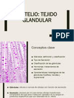 Glandulas