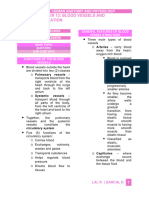 Chapter 13 - Blood Vessels and Circulation