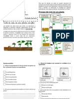 GUIA-11-CIENCIAS-3°A