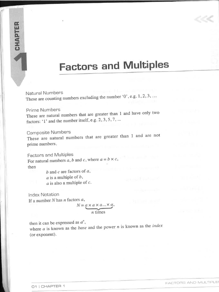 Chapter 1 Factors and Multiples PDF