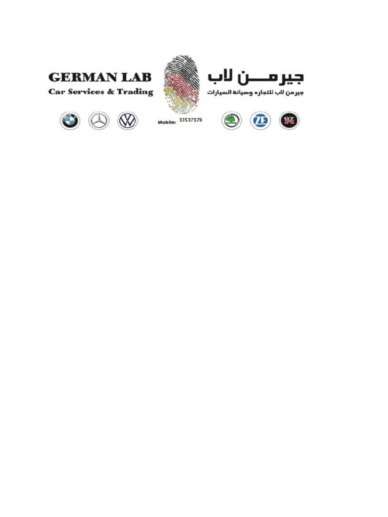 Logo German | PDF