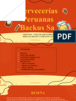 Cervecerias Peruanas Backus Sa