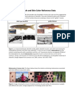 Zebrafish and Skin Color Data