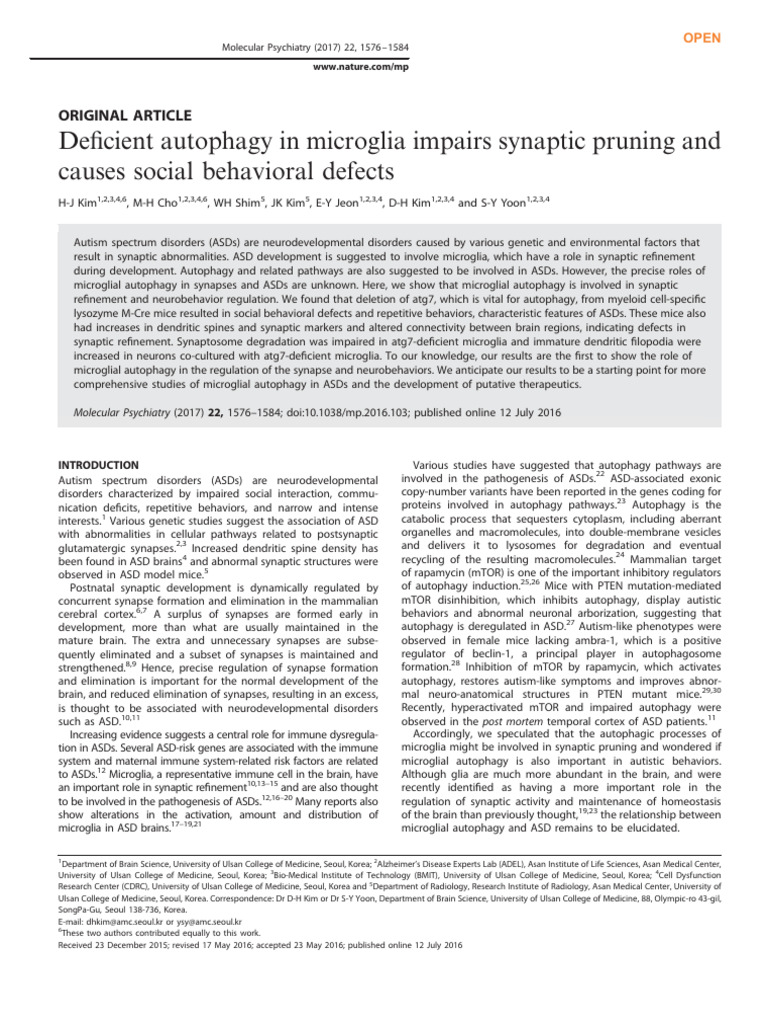 Deficient Autophagy in Microglia Impairs Synaptic Pruning | Descargar ...