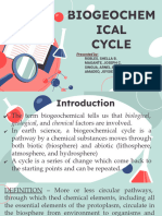 Biogeochemical Cycles Report