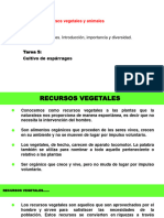 Recursos Vegetales - Introduc - Sem 6 - 15 May 2023