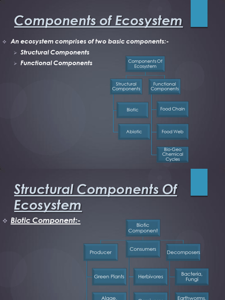 Ecosystem Components Explained | PDF | Ecosystem | Foods