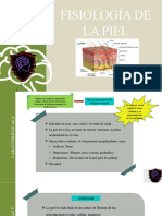 Sistema Tegumentario - Fisiología