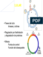 Tarea Microbiología Diapos