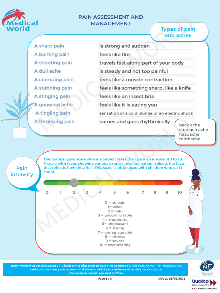 Pain Assessment for Healthcare Pros | PDF | Analgesic | Drugs Acting On ...