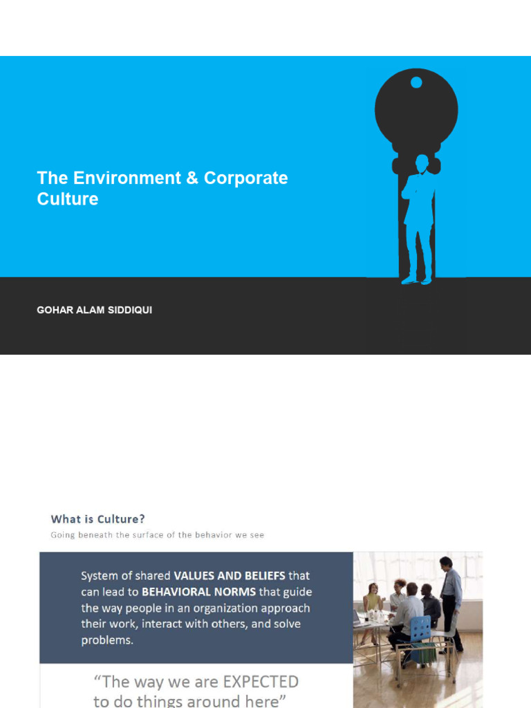 Environment Corporate Culture PDF Costco Lean Manufacturing