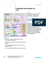 Mechanical Load Regulates Bone Growth Via Periosteal Osteocrin