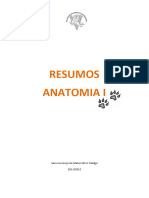 ANATOMIA I - Resumos Teoria