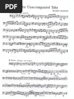 R.Newton Capriccio | PDF