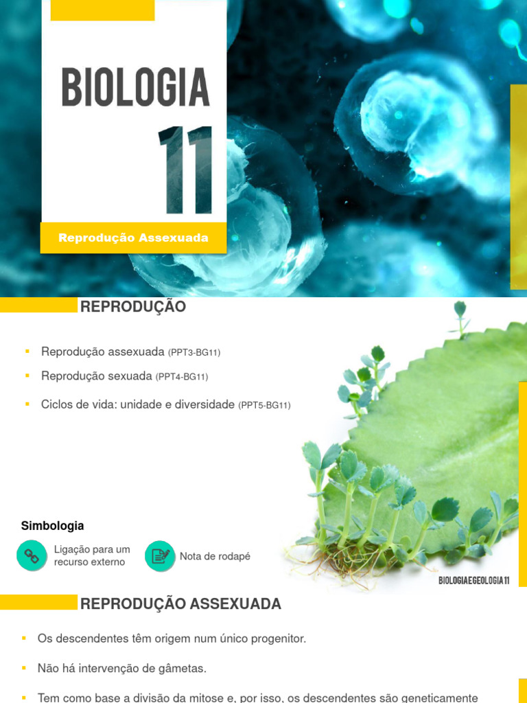 Tipos e Vantagens da Reprodução Assexuada | PDF