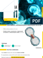 ppt2 - Divisão Celular, Crescimento e Regeneração de Tecidos vs. Diferenciação Celular