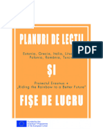 planuri_fise