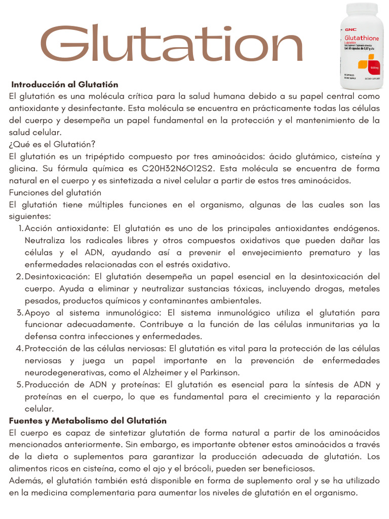 Beneficios y funciones del glutatión | PDF | Glutatión