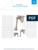 Kenhub Upper Limb Bone and Muscles Labelling by DR Of2027-28