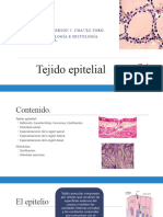 3.-Tejido Epitelial - Embriologia